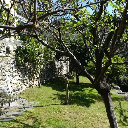 L'alcova Tra Gli Ulivi By Portofinovacanze Bed and breakfast *