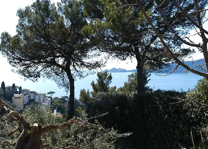 Bed & Breakfast L'alcova Tra Gli Ulivi By Portofinovacanze Zoagli