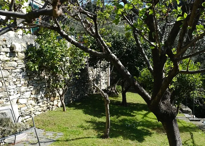L'alcova Tra Gli Ulivi By Portofinovacanze Bed & Breakfast 4*