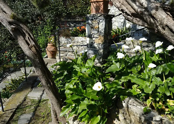 L'alcova Tra Gli Ulivi By Portofinovacanze Bed & Breakfast