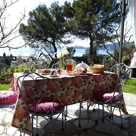 L'alcova Tra Gli Ulivi By Portofinovacanze Frühstückspension