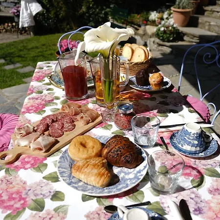 Frühstückspension L'alcova Tra Gli Ulivi By Portofinovacanze Zoagli
