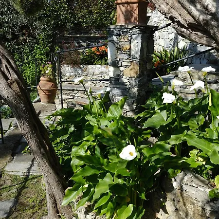 L'alcova Tra Gli Ulivi By Portofinovacanze Frühstückspension